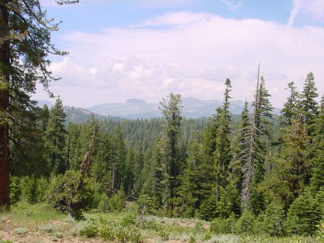 photo002.jpg