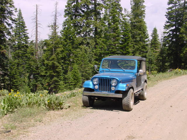 photo003.jpg