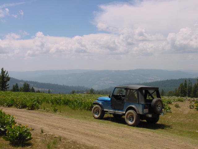 photo004.jpg