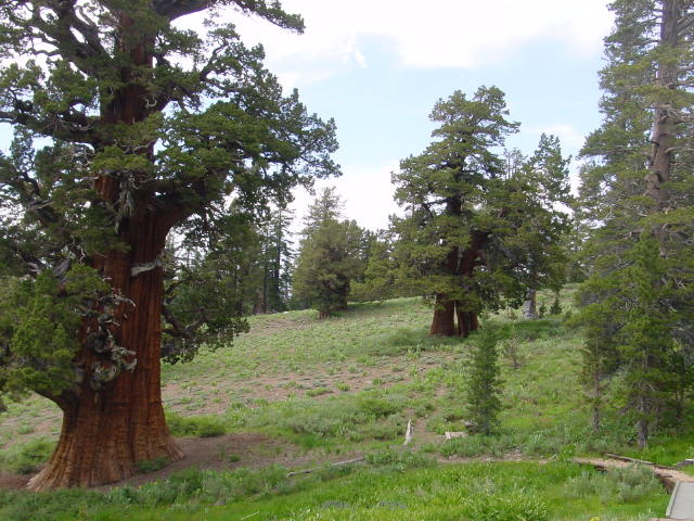 photo016.jpg